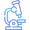 Analysis and Analytical Method Development