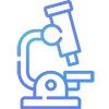 Analysis and Analytical Method Development